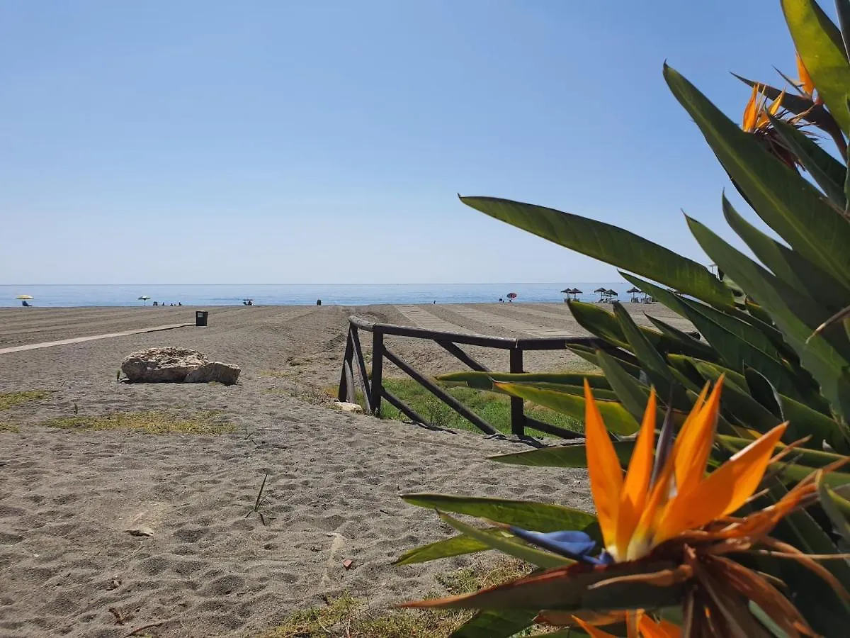 Wi-Fi Alta Velocidad De 1 Gbps Rodeado De Naturaleza Málaga Lägenhet