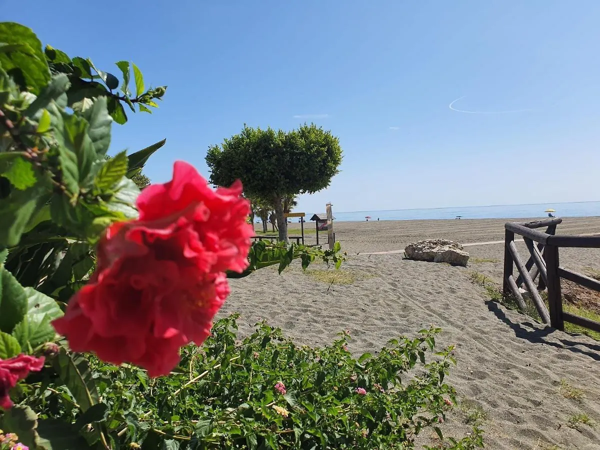 Apartment Wi-Fi Alta Velocidad De 1 Gbps Rodeado De Naturaleza Malaga Spain